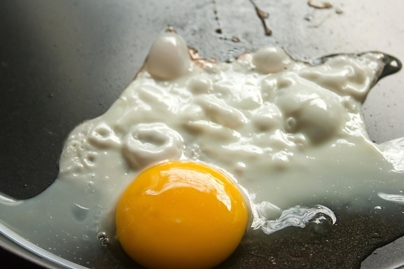 telur, penggorengan, bahan, diet, makanan, kuning telur, Sarapan
