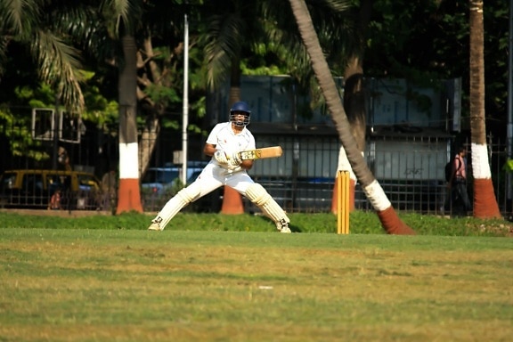 Sport de cricket, jeu, joueur, sport