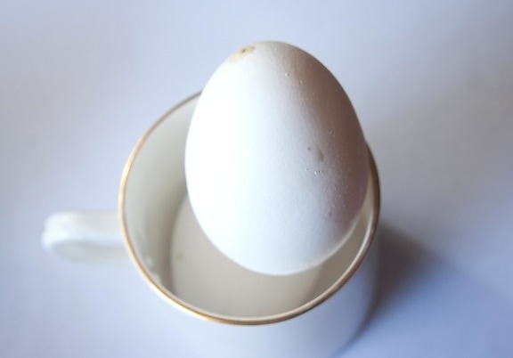 egg, mug, white, food