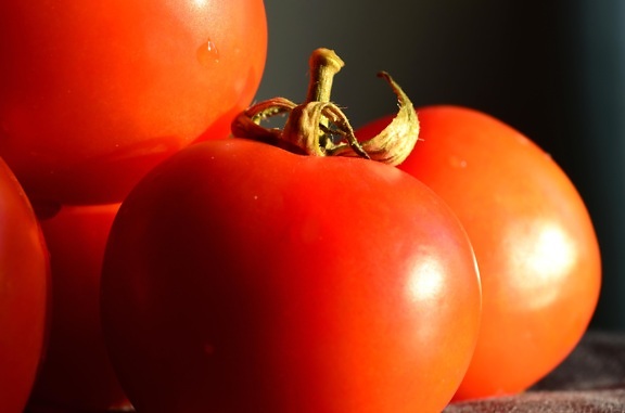 tomato, vegetable, food, fresh