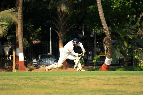 クリケットのスポーツ、フィールド、ゲーム、スポーツ、インド