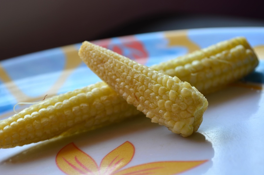 кукуруза, диета, зерно, ядра, растительное питание