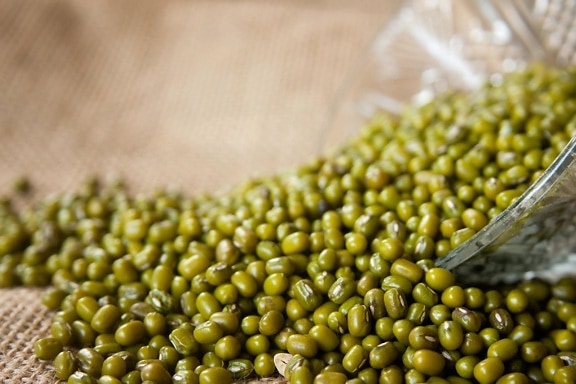 bean, green, seed, food, grain