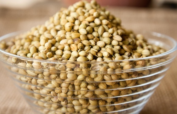 coriander, seed, bowl, seed, grain, food, bean