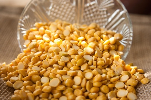 bowl, grain, corn, food, seed, bean