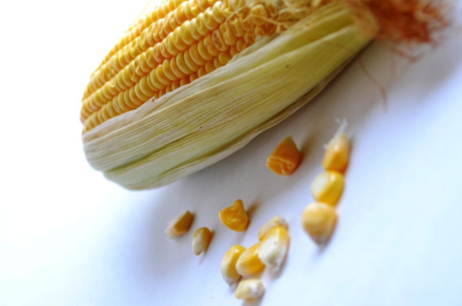 Grano, maíz, fruta, alimento, semilla