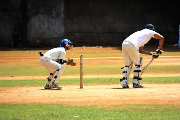 Sport di cricket, azione, pratica, campo, palla, giocatore