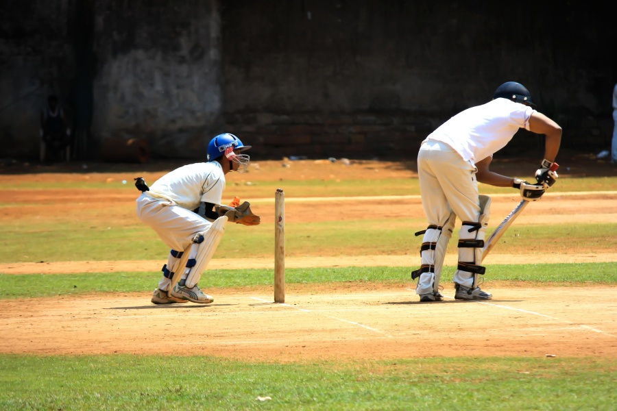 Cricket deporte, acción, práctica, campo, pelota, jugador