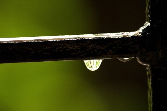 вода, дъжд, прозрачни, близо, роса