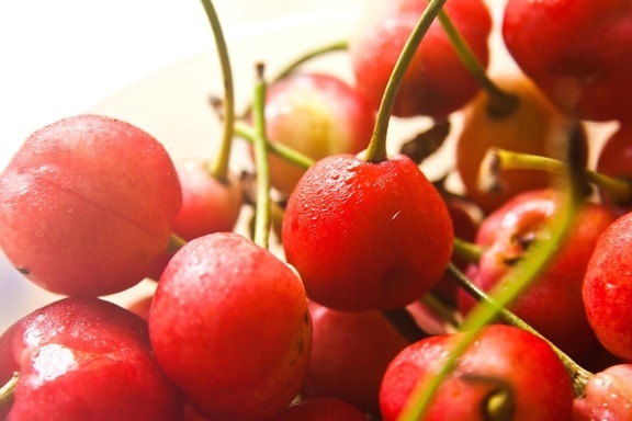 Red cherry hedelmiä, makea, ruoka, ruokavalio, jälkiruoka, vitamiini