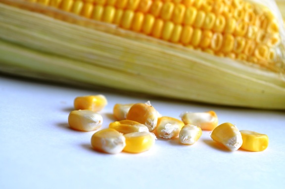 żywności, kukurydza, jądra, ziarna, nasion, roślinnego