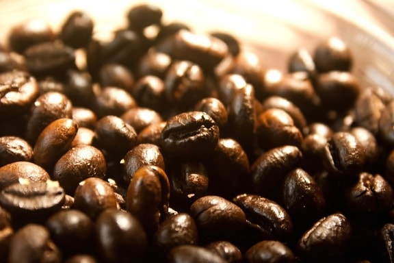 ziarna kawy, nasion, jądra, brązowy