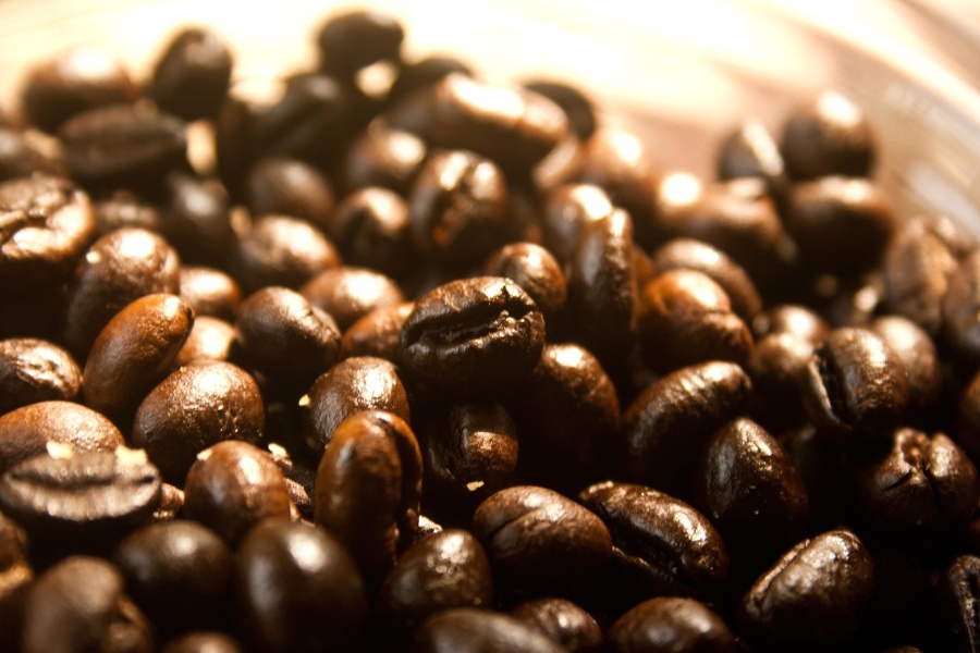 Grain de café, semence, noyau, brun