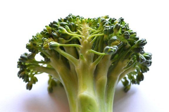 Broccolo, foglia, pianta, verde, verdura