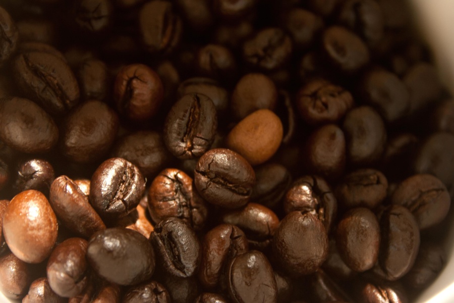 Grano de café, semilla, marrón, núcleo, dieta