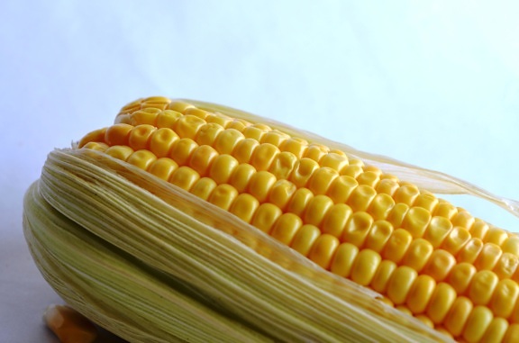 Кукурудза, Овоч, кукурудзи, зерна, ядра, насіння