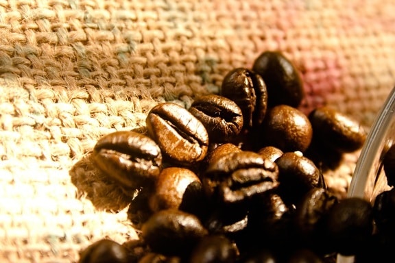 Grain de café, graines, marron, régime, textile