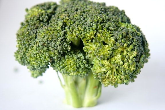 broccoli, kost, ört, grön, grönsaker, mat