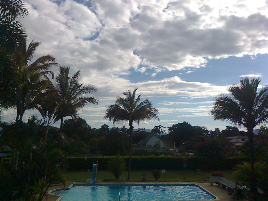 inot piscina, resort, palmier, nucă de cocos, turism, exterior, apa