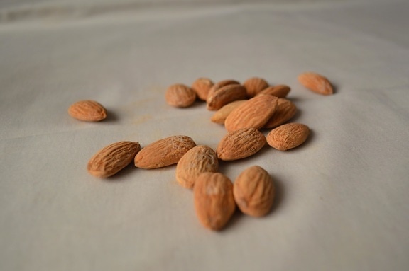 almond, rempah-rempah, biji, makanan, buah, nutrisi, organik, lezat, diet