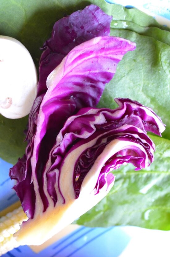 cabbage, vegetable, salad