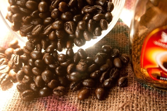 coffee bean, bowl, seed, brown, glass