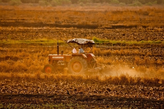 Tractor, cosechas, trabajo, agricultura, India