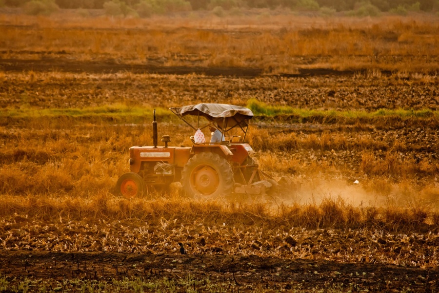 traktor, a növények, a munka, a mezőgazdaság, India