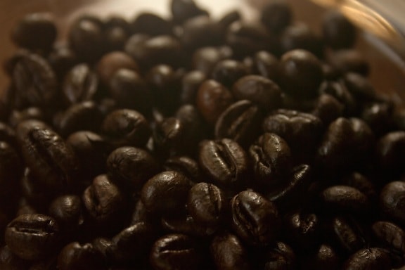 kaffebønne, frø, svart kaffe