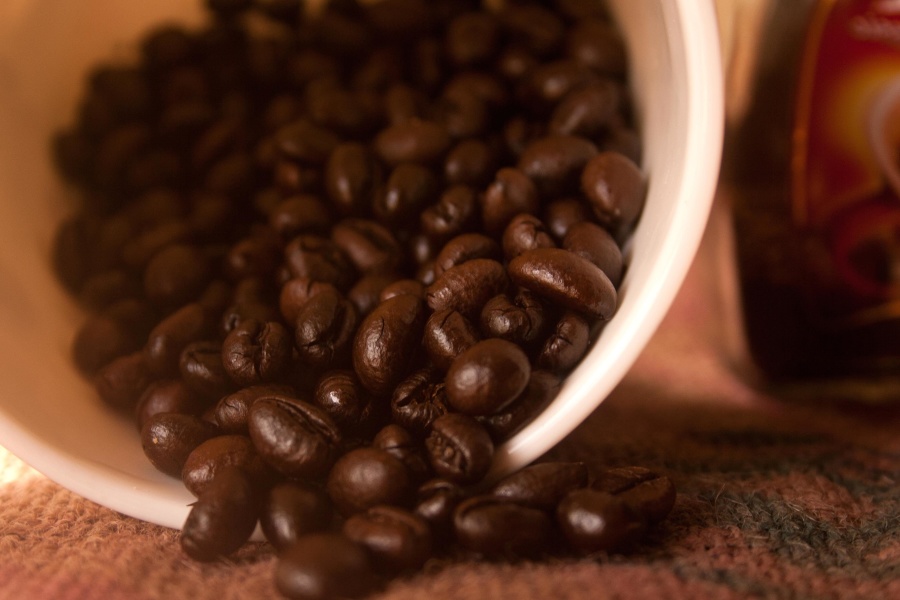 kávová zrna, mísa, semen, brown, hrnek, keramika