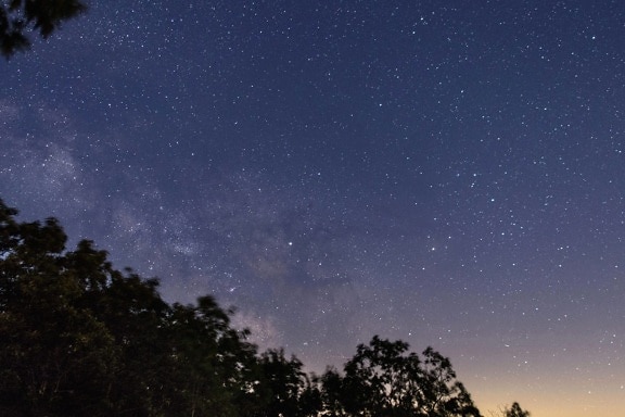 night, nature, star, galaxy, universe, sky, tree