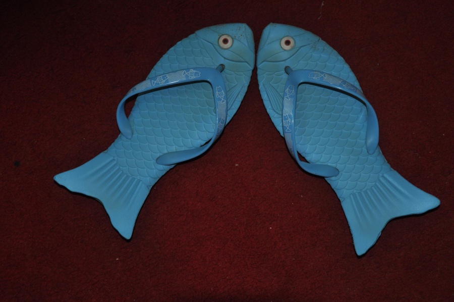 Sandalias, azul, pescado, forma, plástico, material