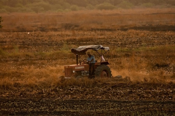 traktor, zemědělství, stroje, pole, vozidla