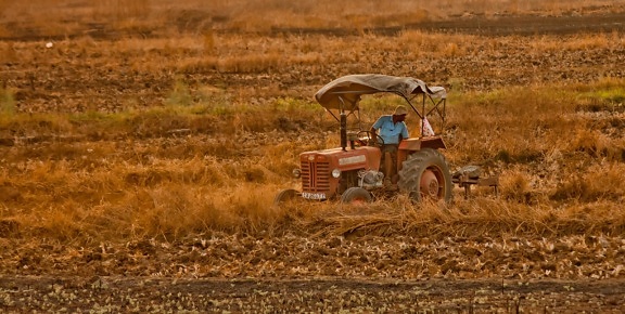 фермер, трактор, машина, инструмент, превозно средство, хидравлични, земеделие