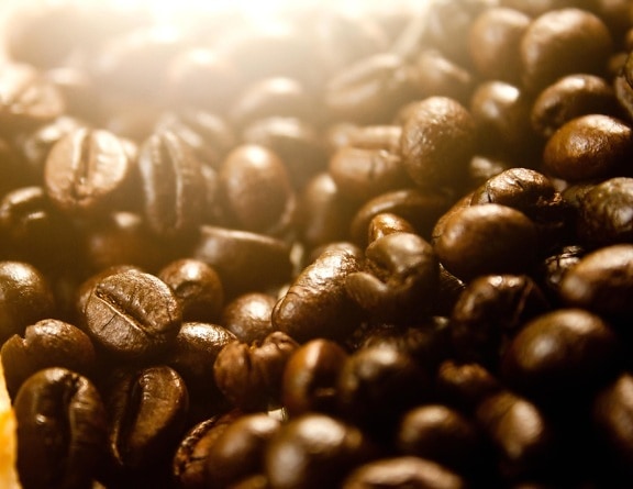 kávové zrno, makro, osiva, hnedá, detail