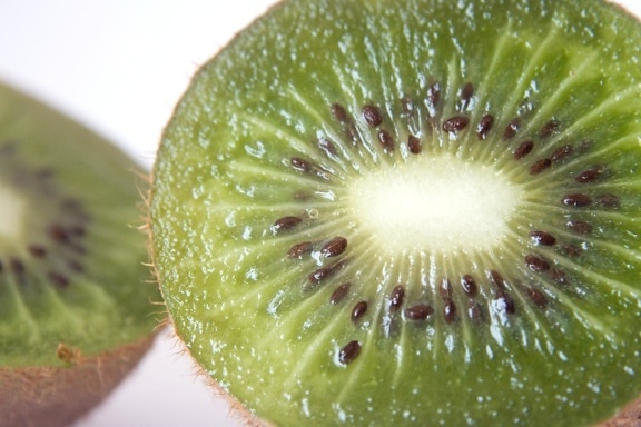 Kiwi, frugt, gree, frø, makro, eksotiske