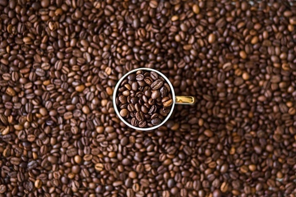 káva, hrnček, káva fazuľa, hnedé, semená, detail