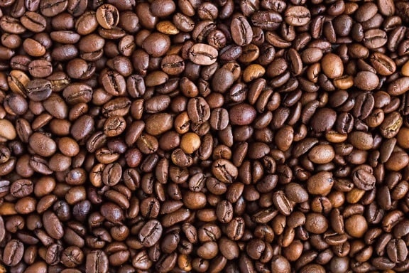 кафе на зърна, семена, печено, кафяво, аромат