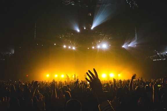 crowd, rock concert, people, night, music