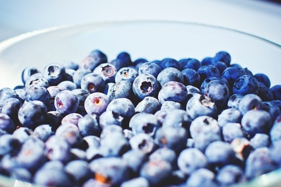 organik, blueberry, buah, makanan, biru, makro, mangkuk
