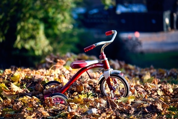 red, retro, tricycle, object