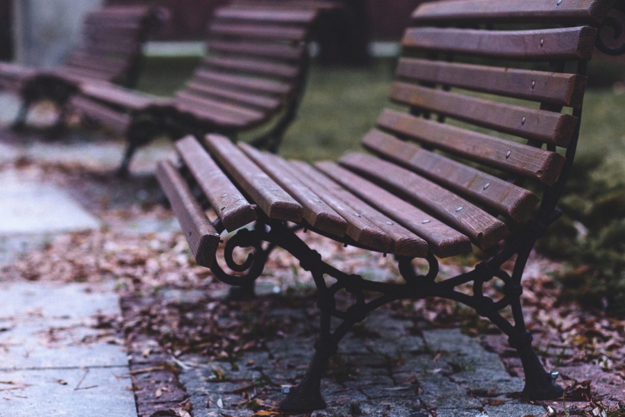 bench, park, autumn, furniture