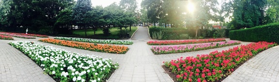 zahrada, chodník, panorama, barevné, květ