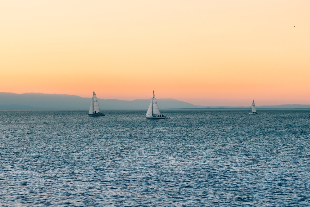 sailboat, water, sunset, sea, ocean, water, sky