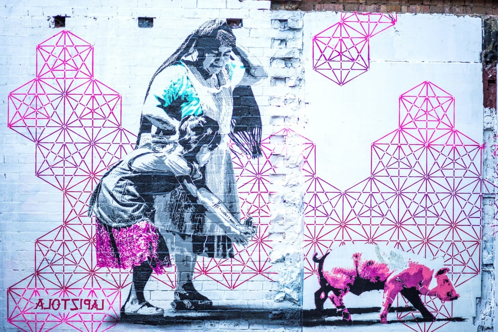 Rosa, graffiti, vägg, design, konstverk