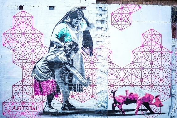 roze met graffiti, muur, ontwerp, illustratie