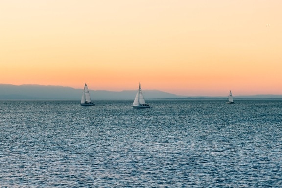 ヨット、夕日、海、海、水、空