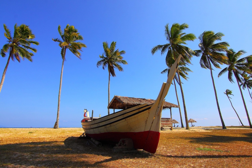 palmbomen blauwe lucht, boot, strand, hemel, zand, landschap, zomer