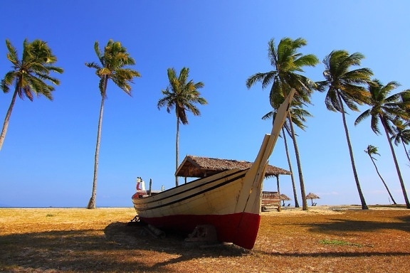 palm trees, blue sky, boat, beach, sky, sand, landscape, summer