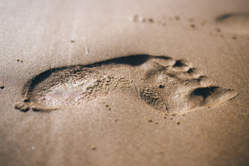 fotspor, sand, tekstur, brun, våt, overflate